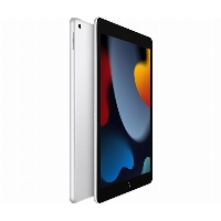Планшет Apple iPad (2021) 256 ГБ, Wi-Fi, Silver, серебристый 